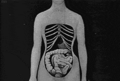 ���ع�ʱ������ƽ�زŸ߼���