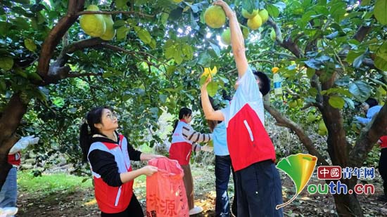 ���������ƻ�־Ը�߿�չ��ժɳ������ũ�